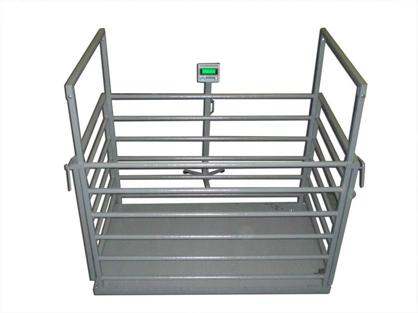 CAS Livestock Weighing Scale 2 Tons