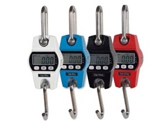 SELES OCS-L Crane Scales